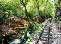 Σε τροχιά επιστροφής ο Οδοντωτός Σιδηρόδρομος Διακοπτού–Καλαβρύτων