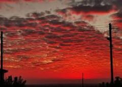 Ρήγματα παντού: Εκκλησία, κοινωνίες και λαοί σε κρίση ενότητας