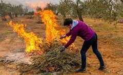 «Αγροτικές καύσεις: ο σιωπηλός κίνδυνος που απειλεί την ύπαιθρο»