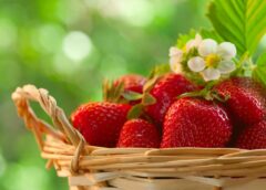 Φράουλες: Τα πάντα για την ανοιξιάτικη υπερτροφή – Συνταγές για να τις έχουμε όλο το χρόνο