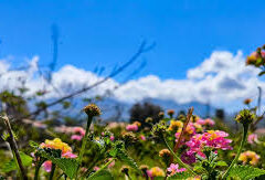 Καλοκαιρινός ο καιρός σήμερα, αλλάζει το σκηνικό από την Πρωτομαγιά