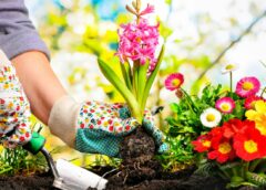 Απρίλιος, εργασίες στον κήπο