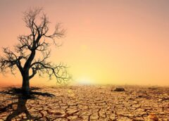 Η προειδοποίηση από επιστήμονες για την ξηρασία και την αντοχή των εδαφών στην Ευρώπη