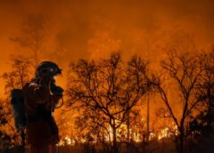 Φόβους για μια «ιδιαίτερα δύσκολη» χρονιά όσον αφορά τις πυρκαγιές, εκφράζουν ερευνητές Φόβους για μια «ιδιαίτερα δύσκολη» χρονιά όσον αφορά τις πυρκαγιές, εκφράζουν ερευνητές
