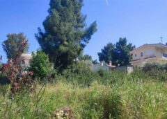 Ακαθάριστα οικόπεδα: Παράταση στην προθεσμία – Πώς κάνετε δήλωση Ακαθάριστα οικόπεδα: Παράταση στην προθεσμία – Πώς κάνετε δήλωση