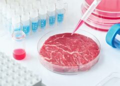 Ουγγαρία: Πλήρης απαγόρευση του εργαστηριακά καλλιεργημένου κρέατος Ουγγαρία: Πλήρης απαγόρευση του εργαστηριακά καλλιεργημένου κρέατος