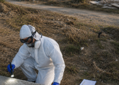 Απεντόμωση -Προστατέψτε τον χώρο σας πριν εμφανιστεί το πρόβλημα. Απεντόμωση -Προστατέψτε τον χώρο σας πριν εμφανιστεί το πρόβλημα.