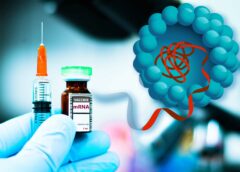 Μελέτη-σοκ για το mRNA εμβόλιο της Pfizer: «Χτυπά» εκεί που δεν το περίμενε κανείς – Τα νέα ευρήματα Μελέτη-σοκ για το mRNA εμβόλιο της Pfizer: «Χτυπά» εκεί που δεν το περίμενε κανείς – Τα νέα ευρήματα